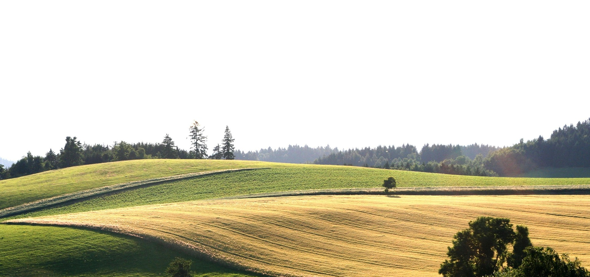 Obec - ilustrační foto - 0